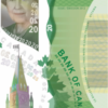 The Bank of Canada polymer series